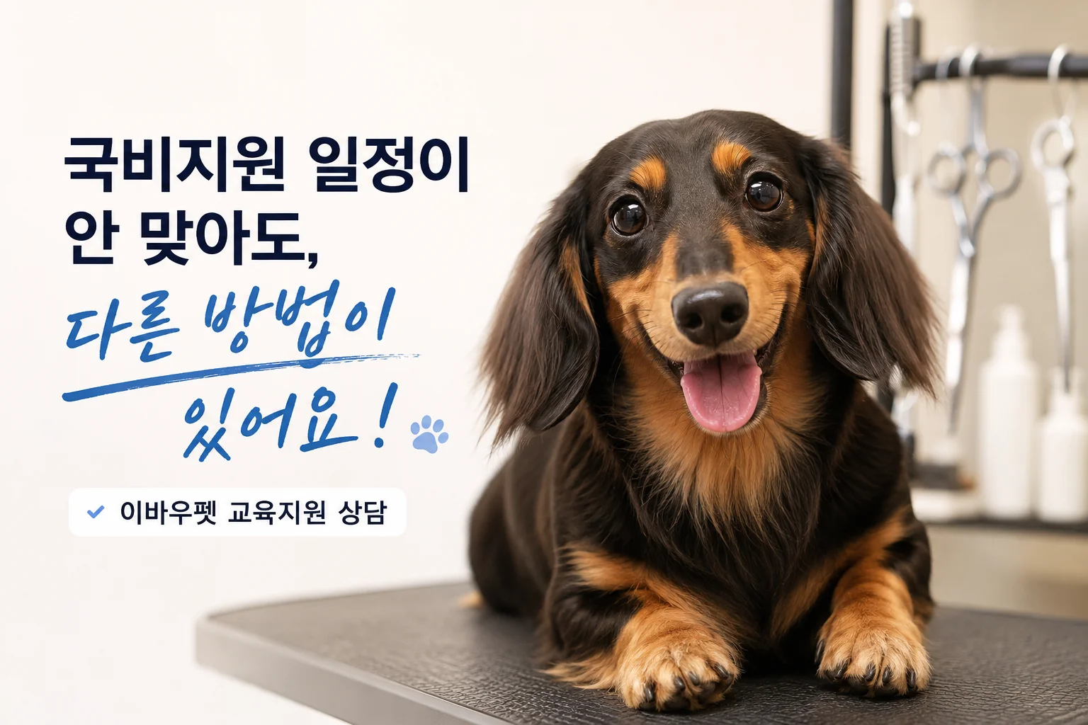 청주애견미용학원 국비지원 일정이 안 맞아도 다른 방법이 있어요