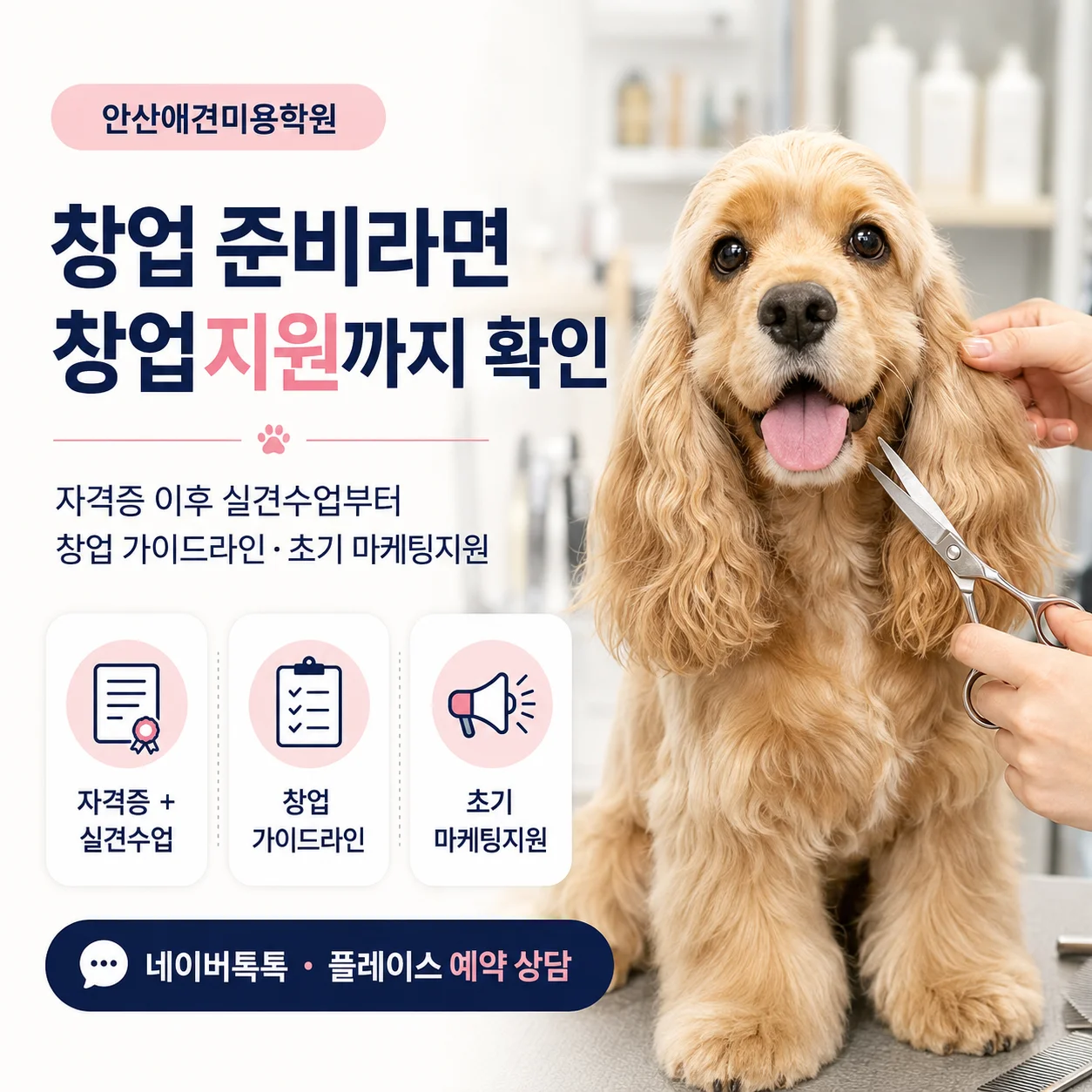 안산애견미용학원 창업 준비라면 창업지원까지 확인 - 이바우펫