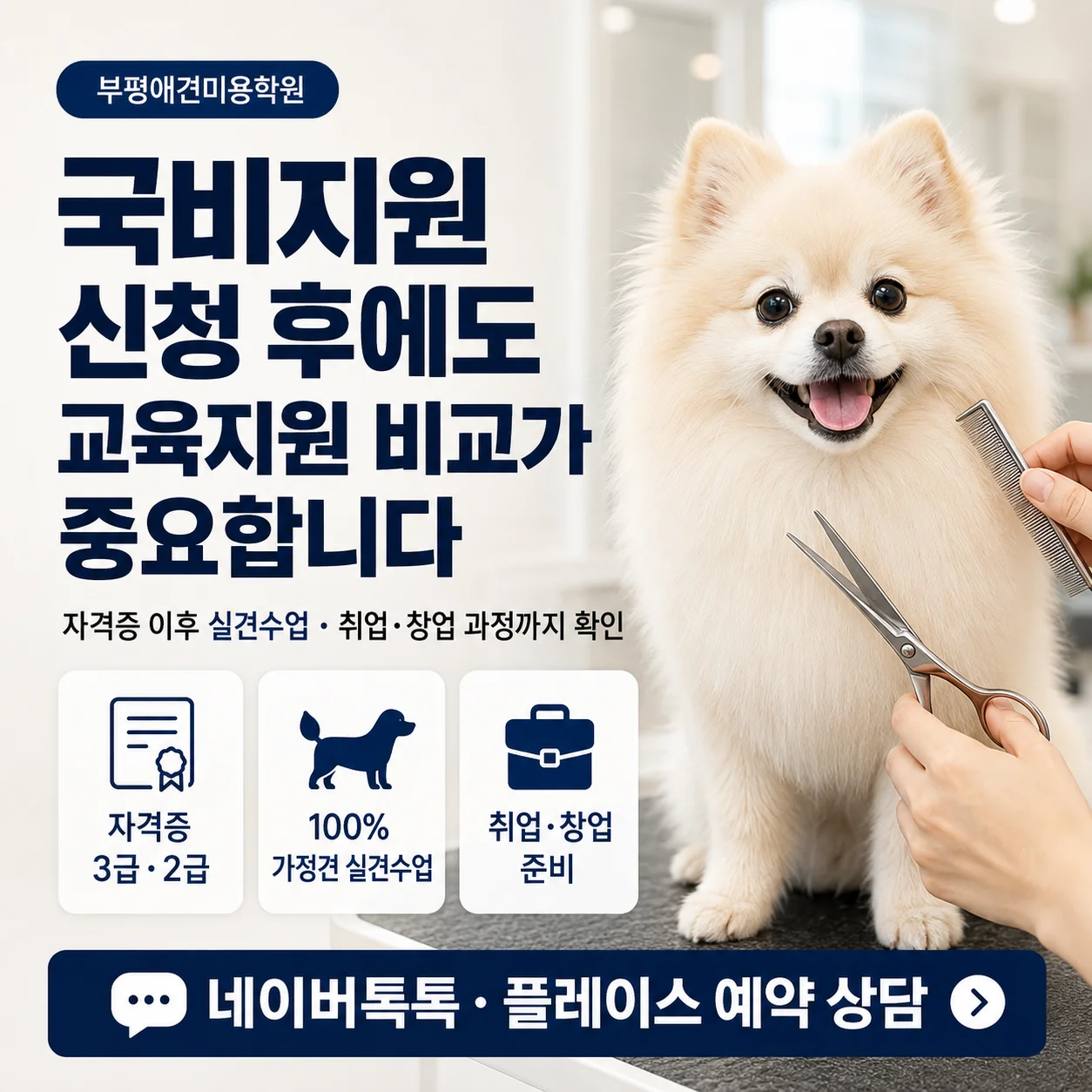 부평애견미용학원 국비지원 신청 후에도 교육지원을 비교하는 이유 - 이바우펫