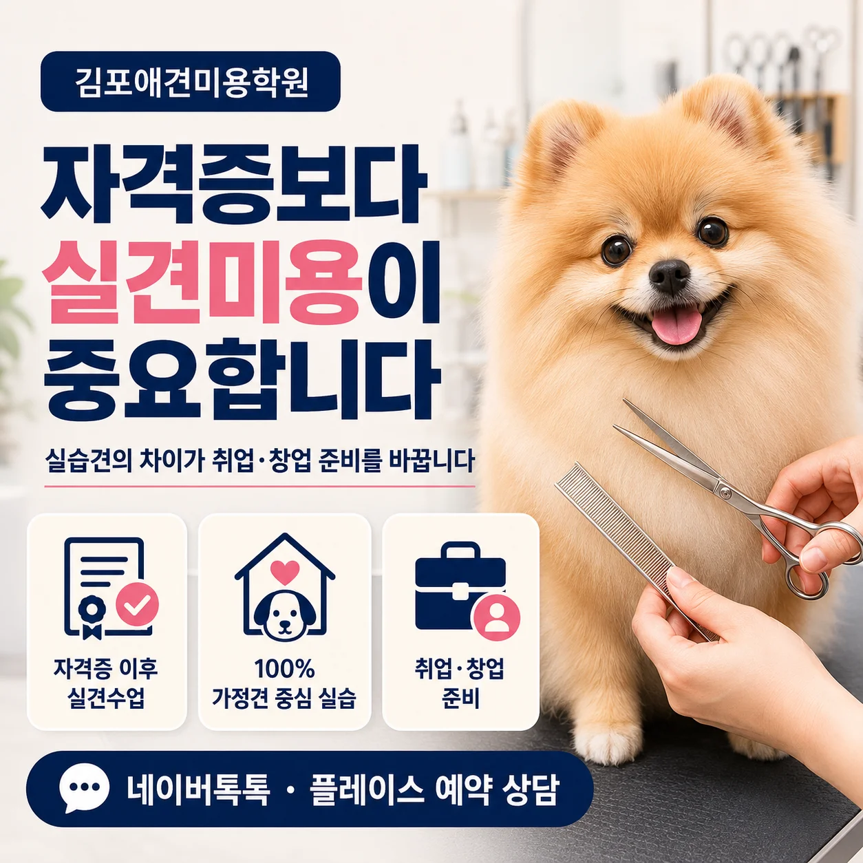 김포애견미용학원 비교, 자격증보다 실견미용이 중요한 이유 - 이바우펫