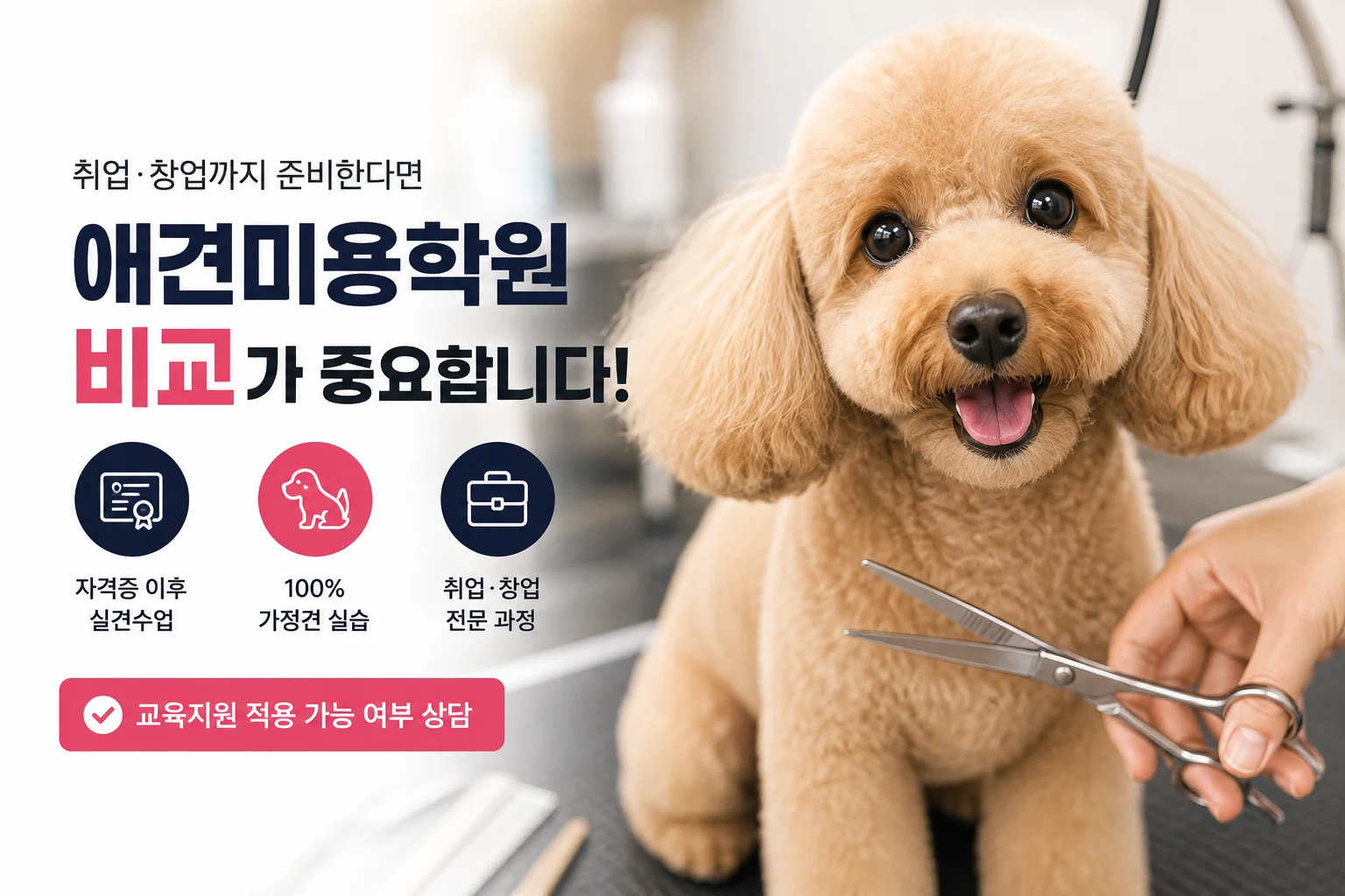 울산애견미용학원 비교, 취업·창업까지 준비한다면 확인할 것 - 이바우펫