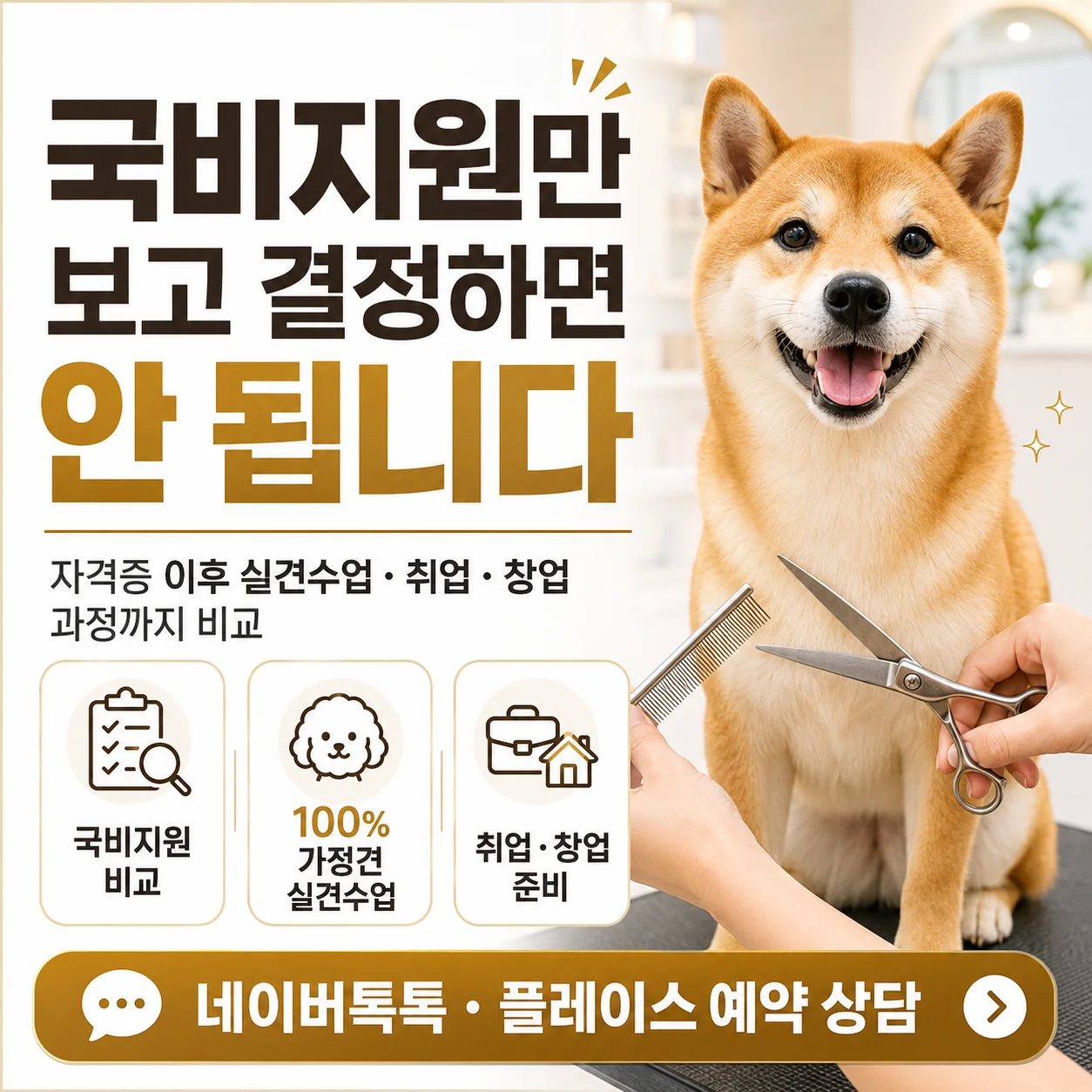 서면애견미용학원 국비지원만 보고 결정하면 안 되는 이유 - 이바우펫