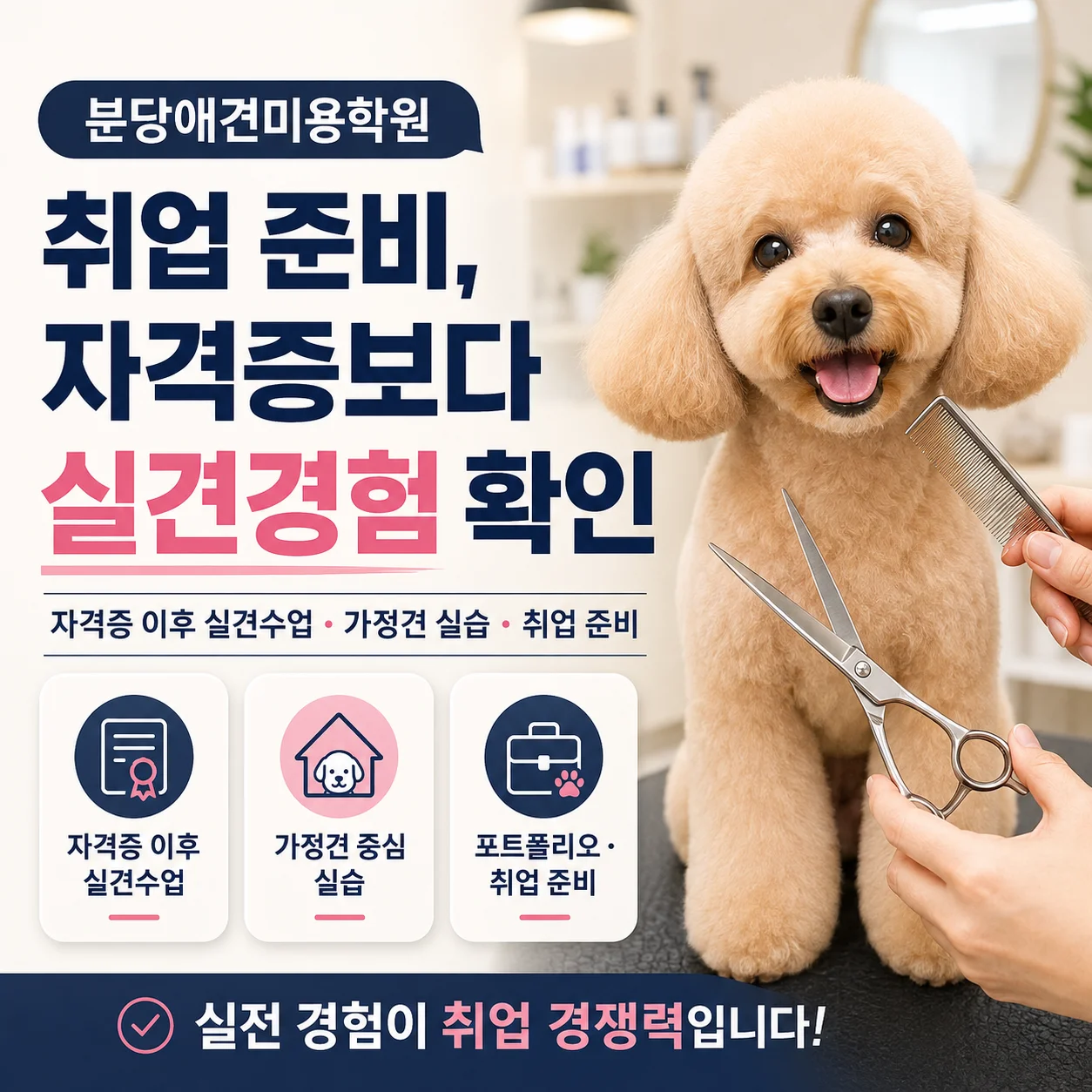 분당애견미용학원 취업 준비, 자격증보다 실견경험까지 확인하세요 - 이바우펫