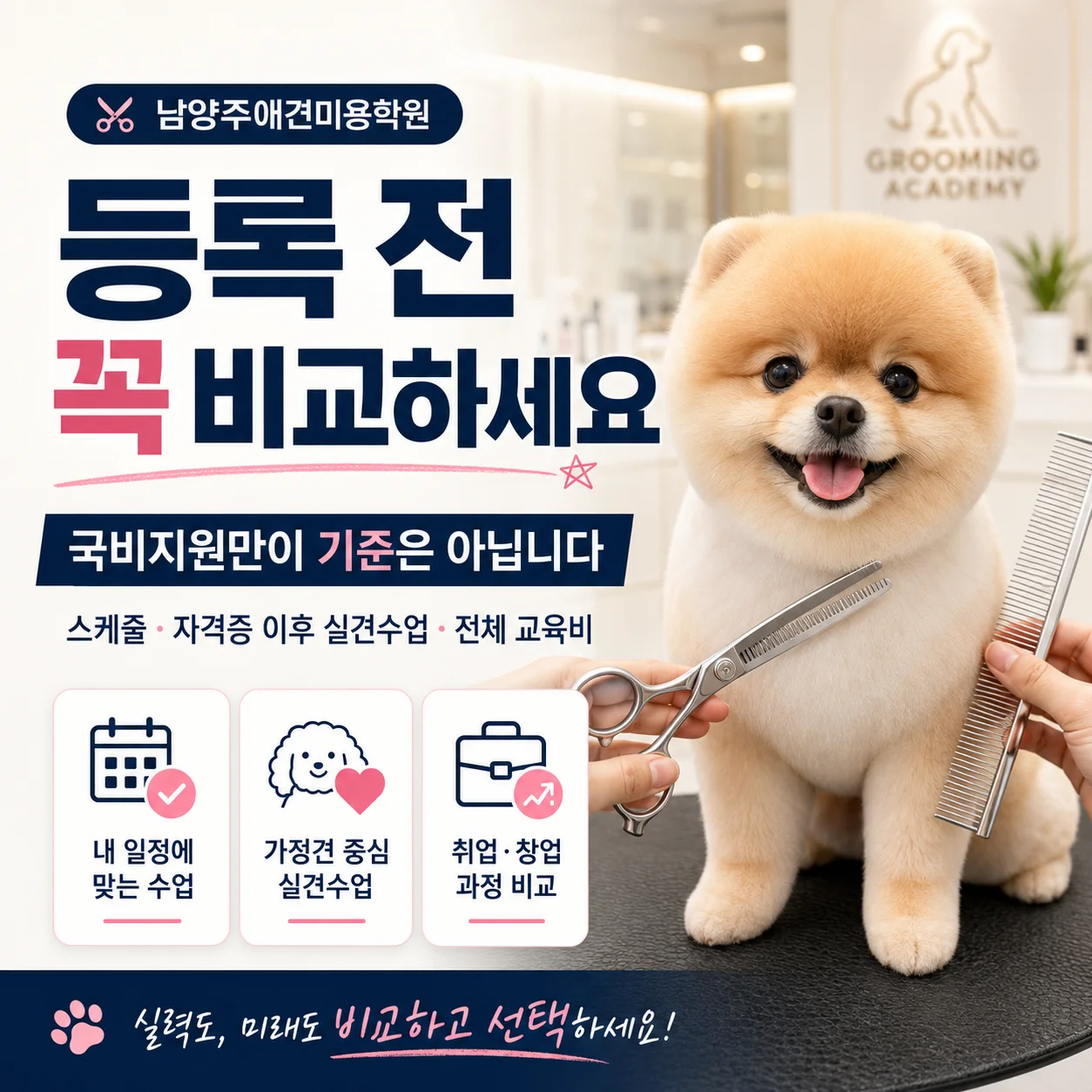 남양주애견미용학원 등록을 고민중이라면 필독 - 이바우펫