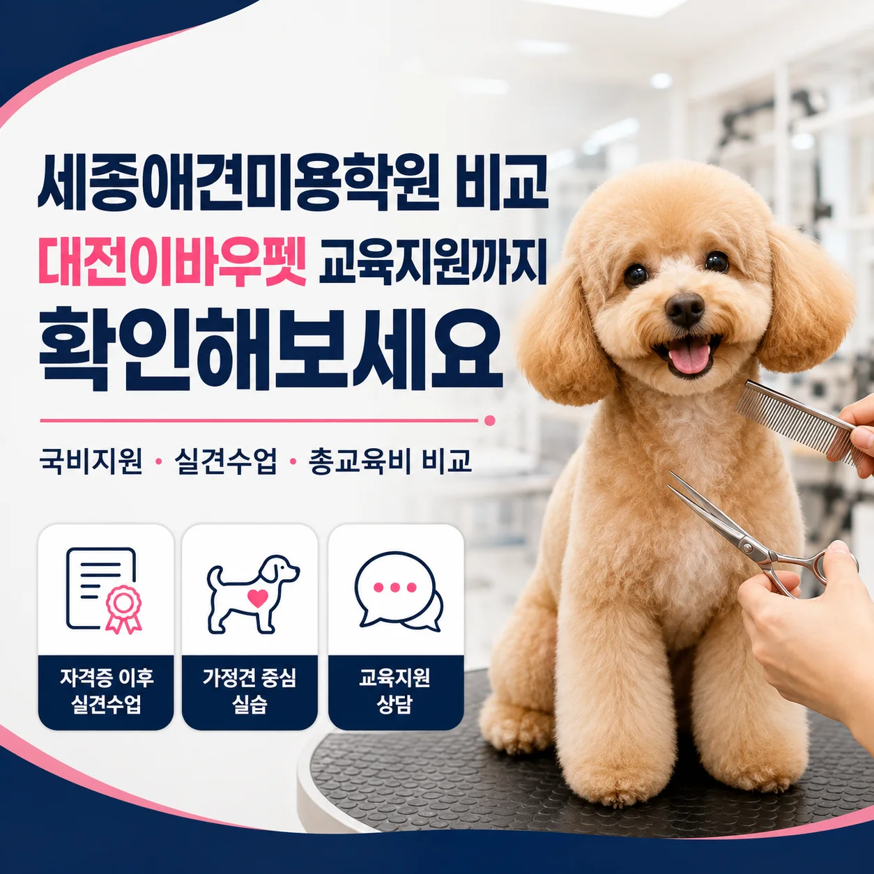 세종애견미용학원 비교, 대전이바우펫 교육지원까지 보는 이유 - 이바우펫