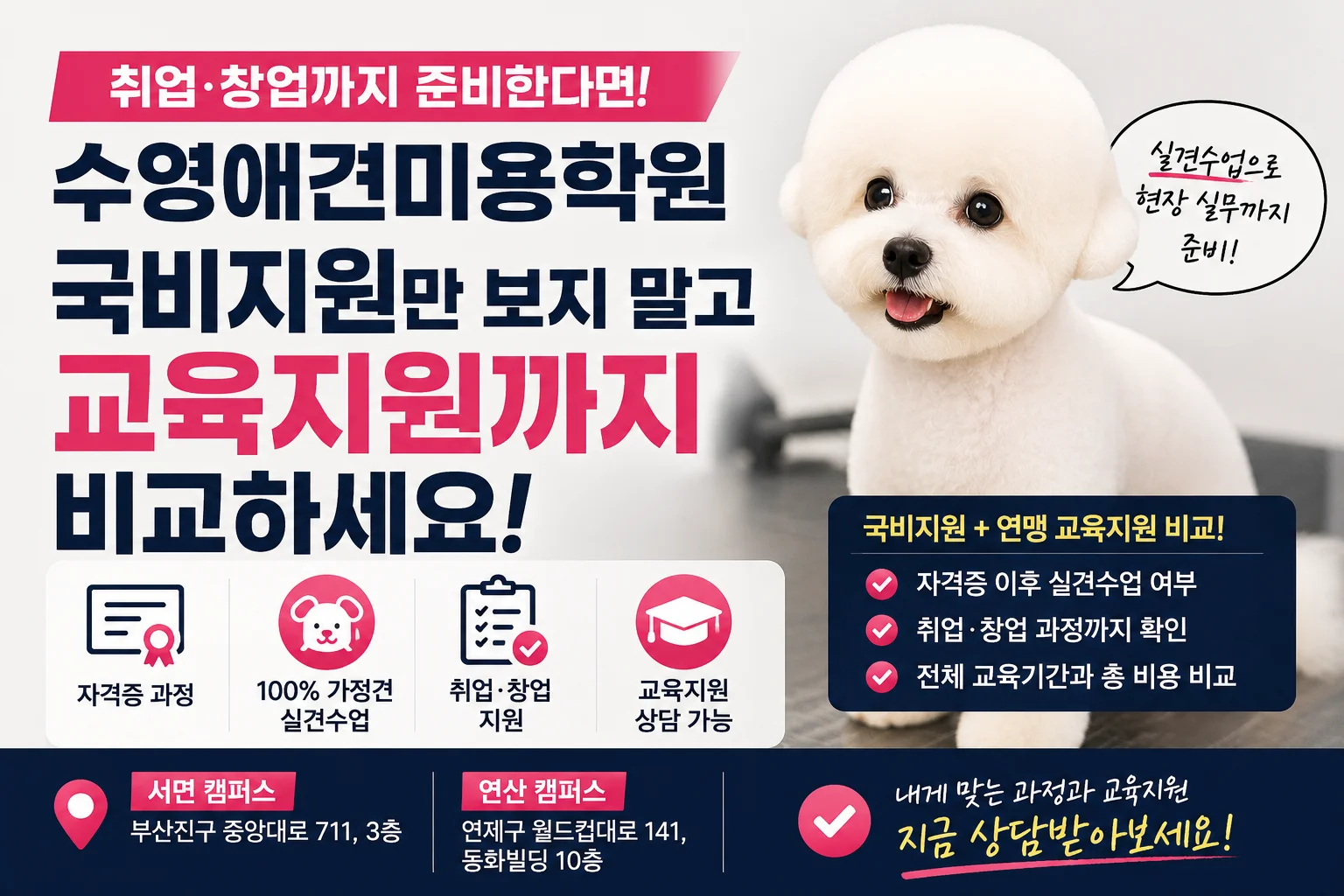 수영애견미용학원 국비지원만 보지 말고 교육지원까지 비교해야 하는 이유 - 이바우펫