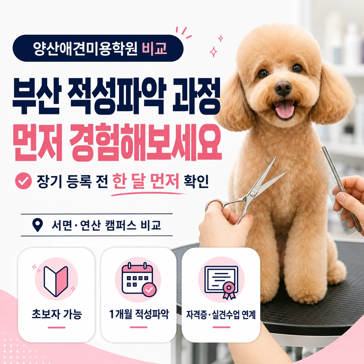 양산애견미용학원 고민된다면 부산 이바우펫 적성파악 과정 비교 - 이바우펫