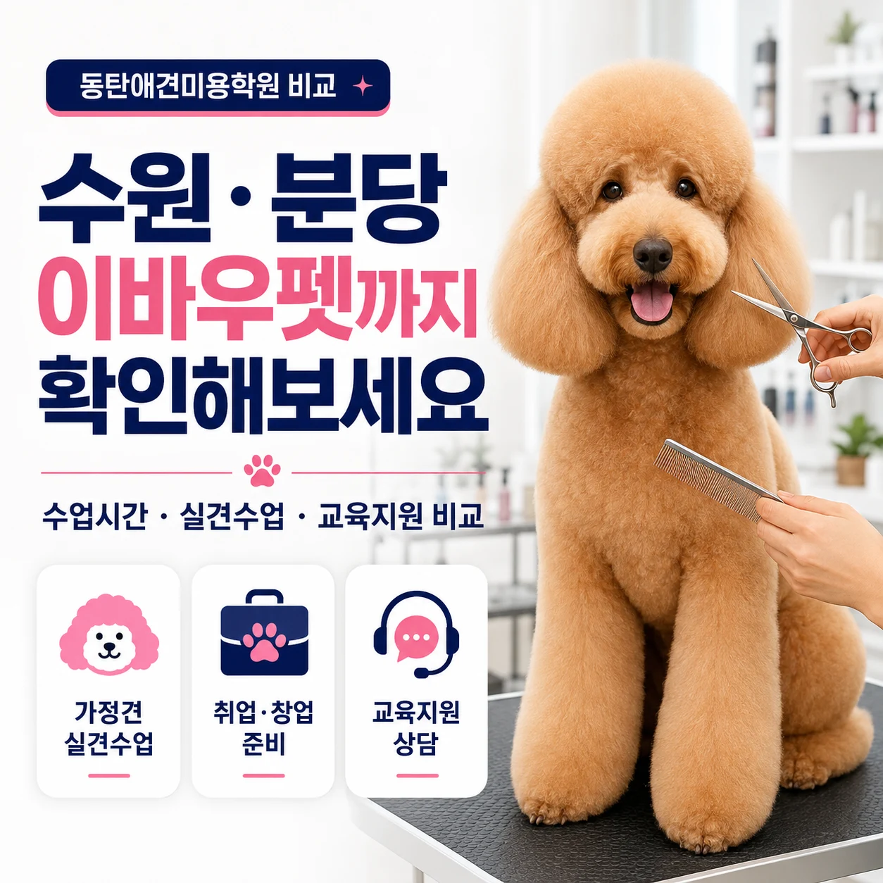 동탄애견미용학원 등록 전 이바우펫을 찾는 이유 - 이바우펫