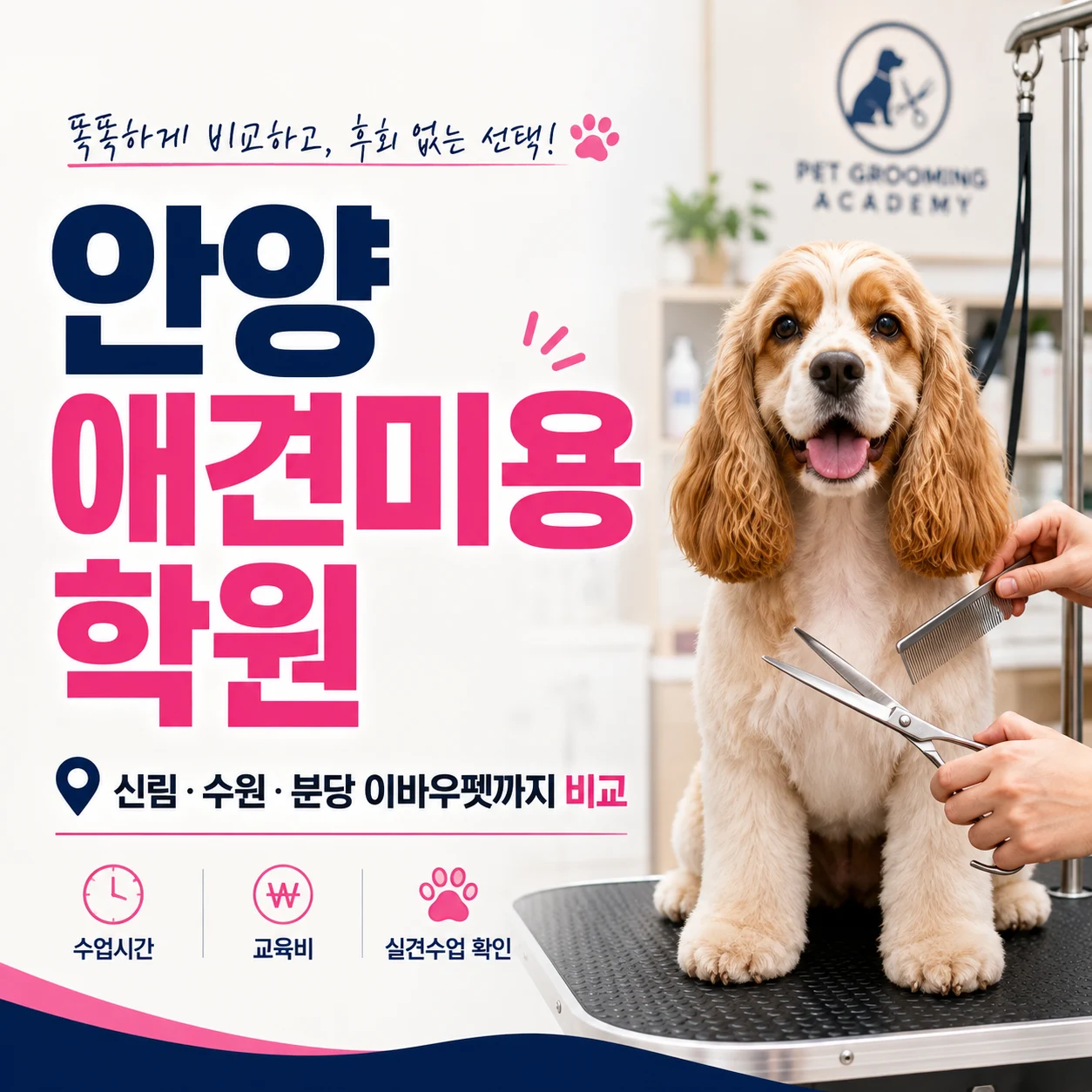 안양애견미용학원 비교, 신림·수원·분당 이바우펫까지 보는 이유 - 이바우펫