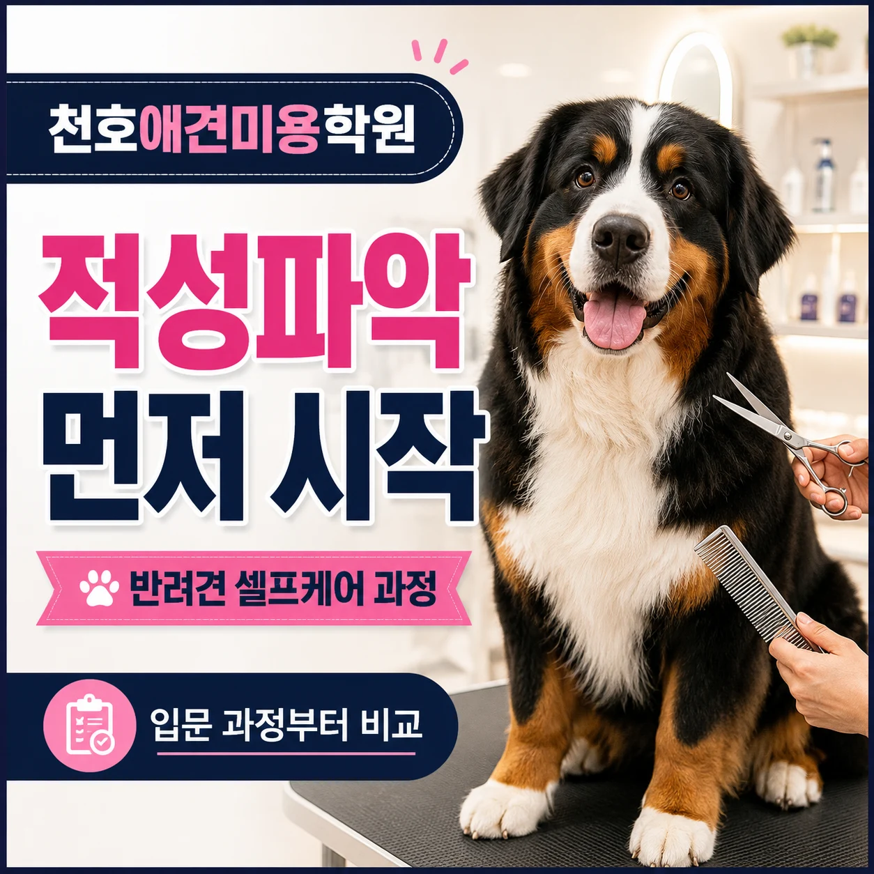 천호애견미용학원 적성파악·반려견 셀프케어 과정으로 시작하는 이유 - 이바우펫