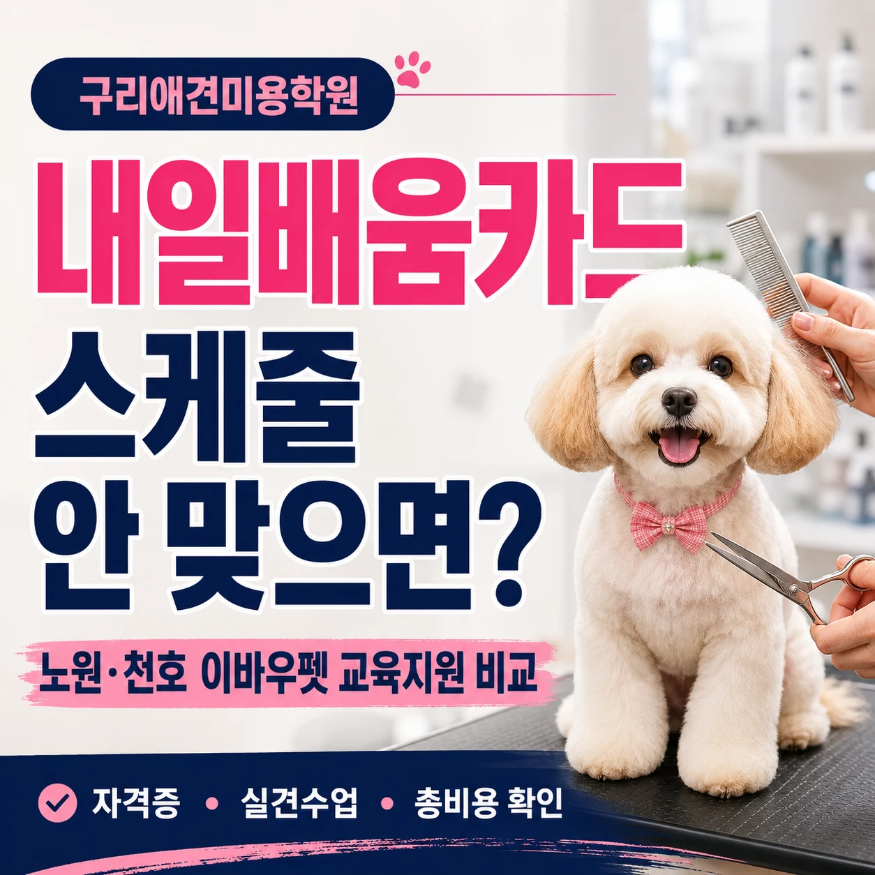 구리애견미용학원 내일배움카드 스케줄 안 맞으면 교육지원까지 비교 - 이바우펫