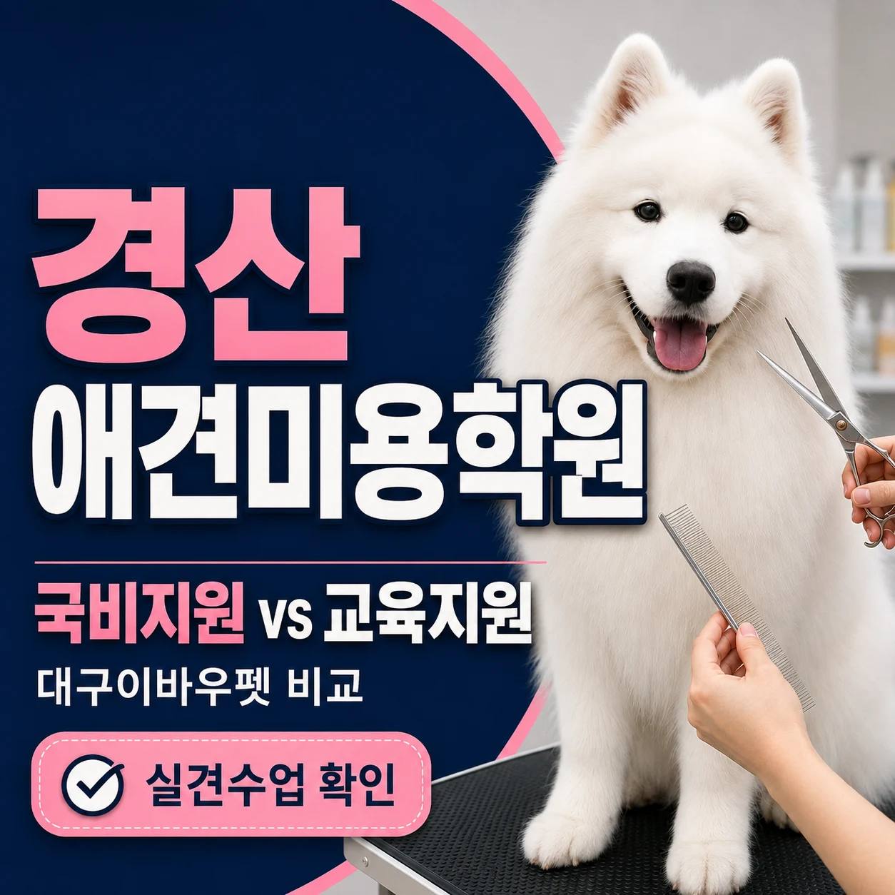 경산애견미용학원 국비지원과 대구이바우펫 교육지원 정보 - 이바우펫