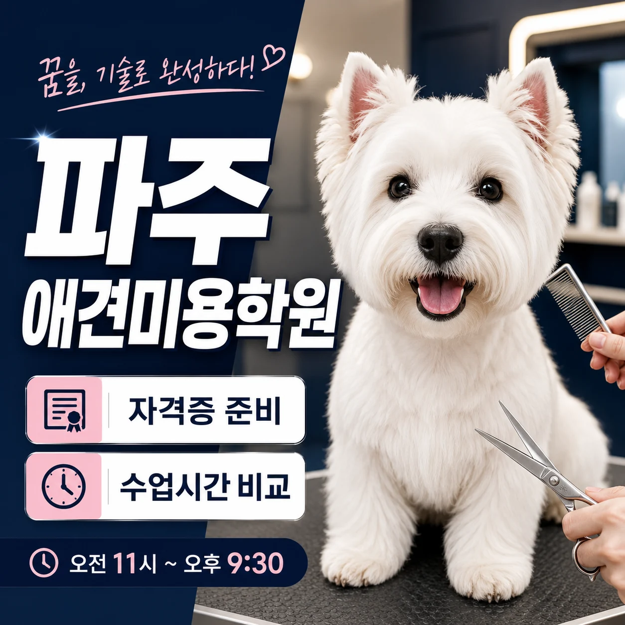 파주애견미용학원 자격증 준비, 이바우펫 수업시간 비교 - 이바우펫
