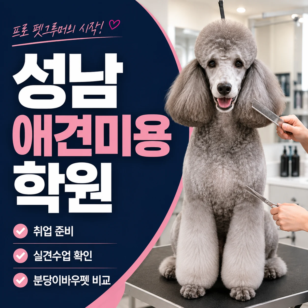성남애견미용학원 취업 준비, 실견수업까지 확인 - 이바우펫