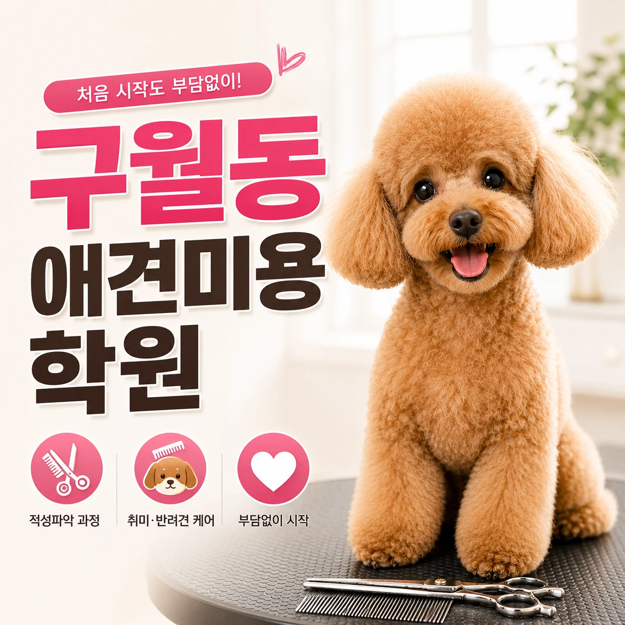 구월동애견미용학원 적성파악·취미과정 부담없는 수강 - 이바우펫