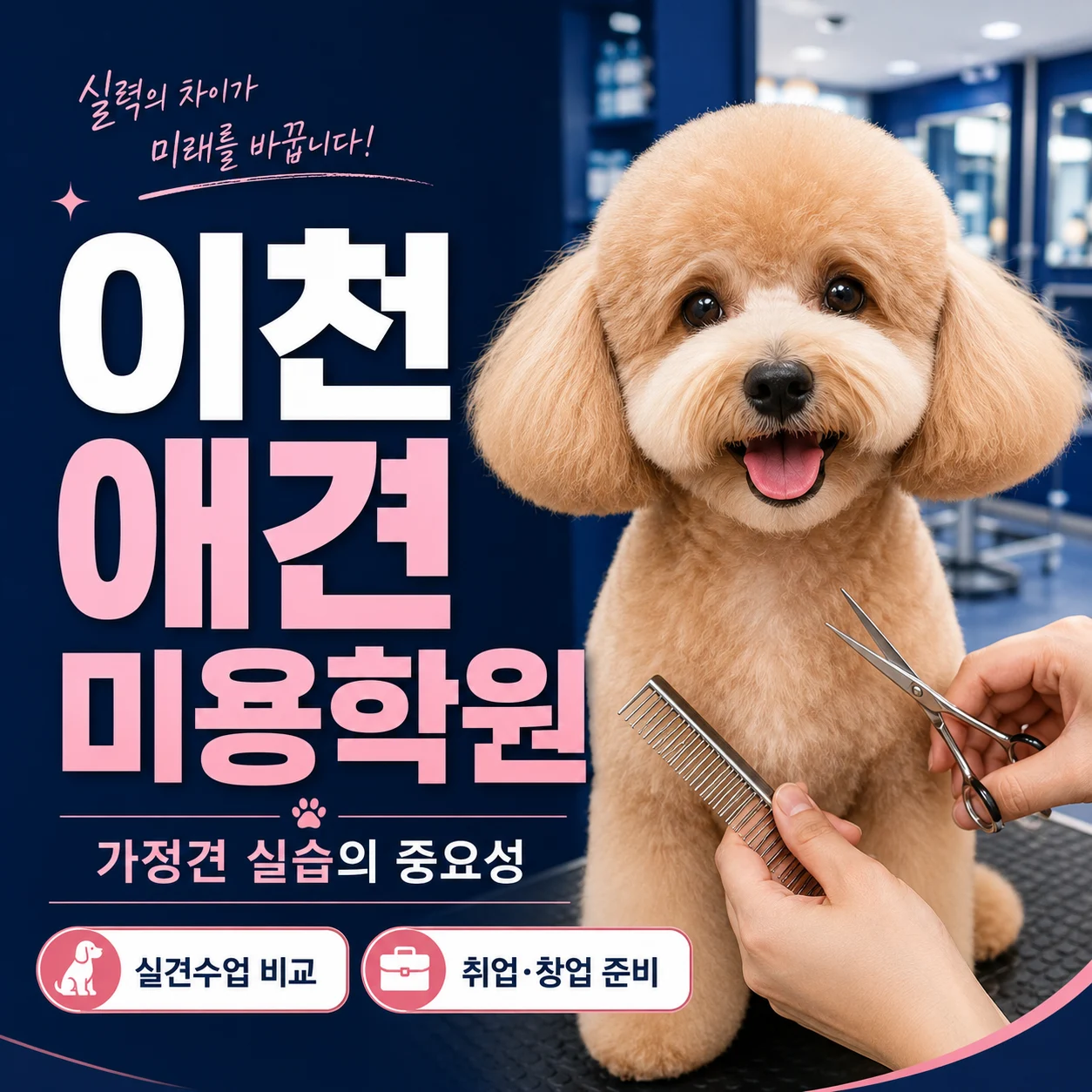 이천애견미용학원 가정견 실습의 중요성 - 이바우펫