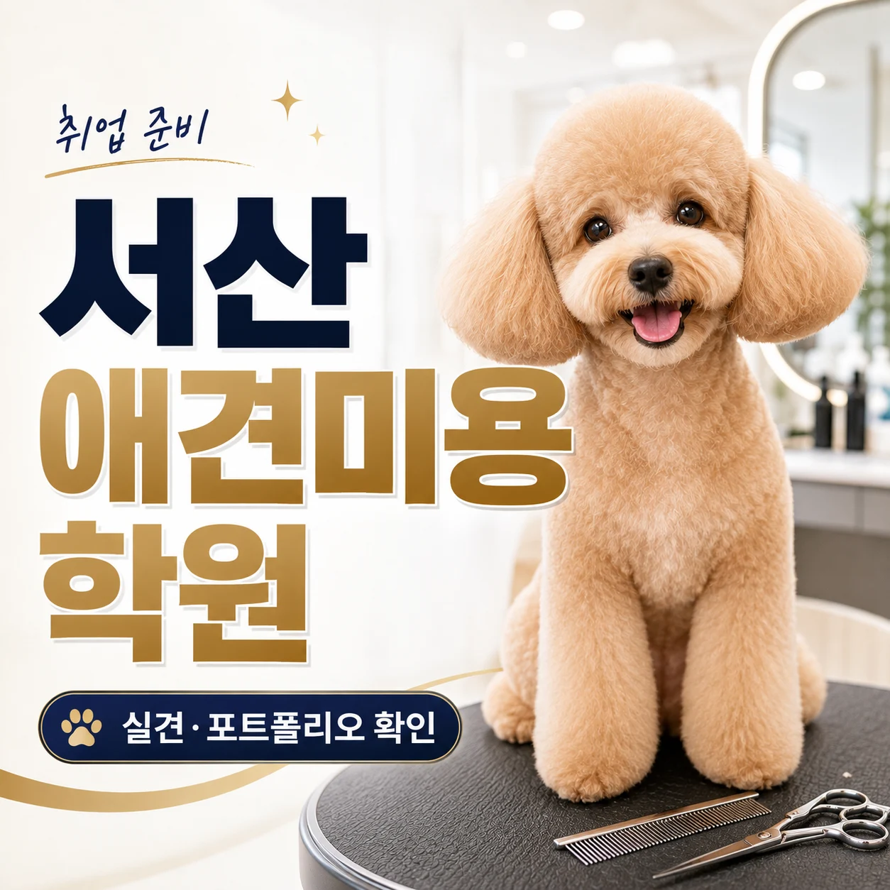 서산애견미용학원 취업 준비,취업과정반 비교 - 이바우펫