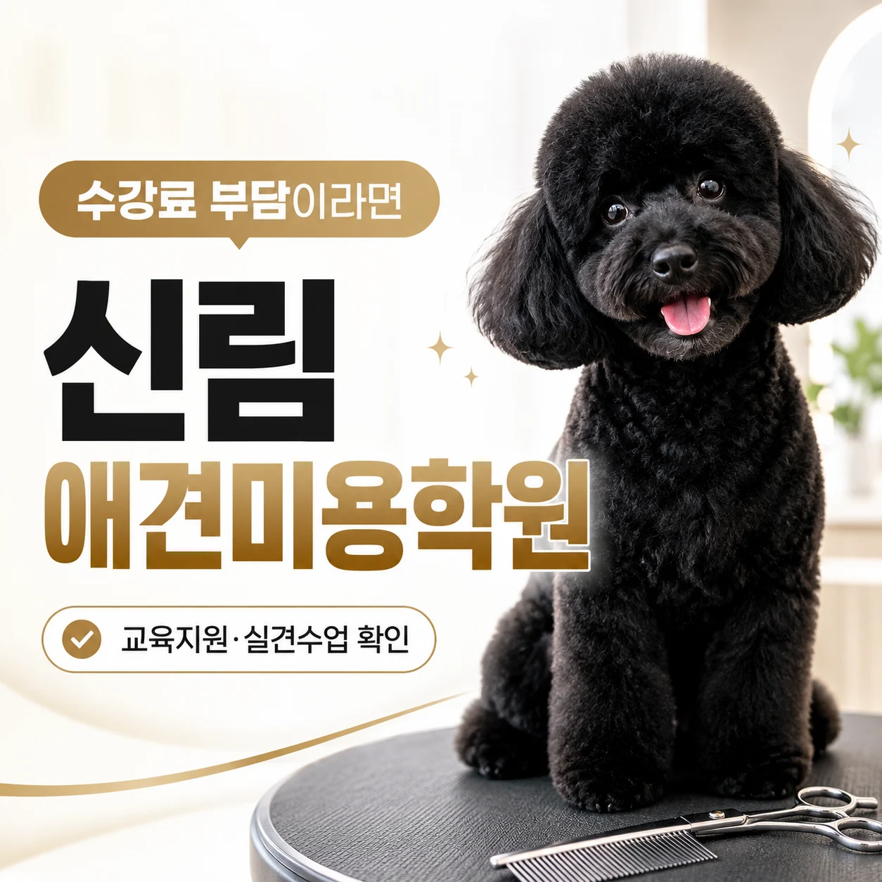 신림애견미용학원 수강료 부담이라면 필독 - 이바우펫