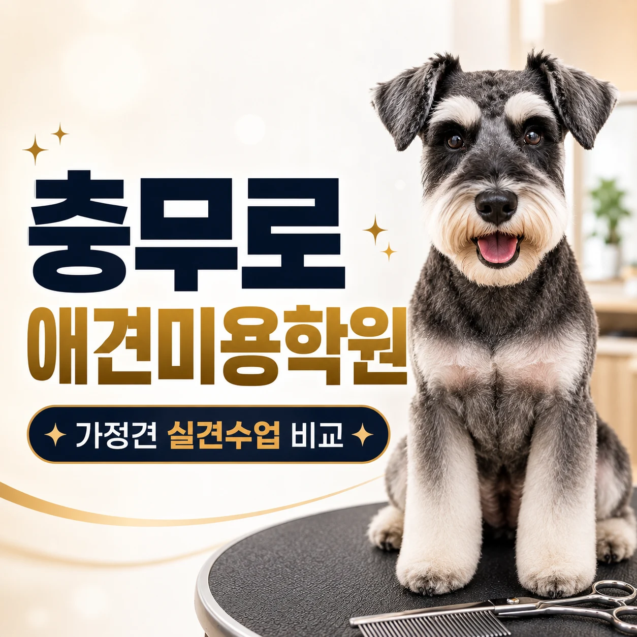 충무로애견미용학원 종로이바우펫 가정견 실견수업 비교 - 이바우펫