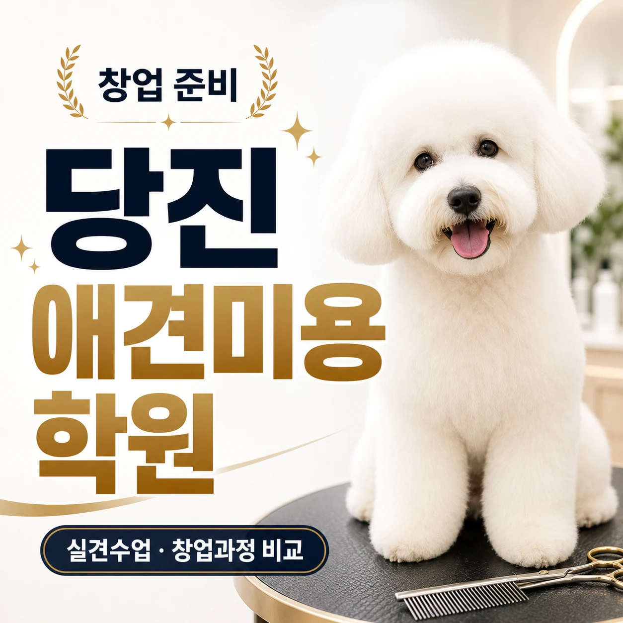당진애견미용학원 창업 준비, 평택·천안 이바우펫 비교 - 이바우펫