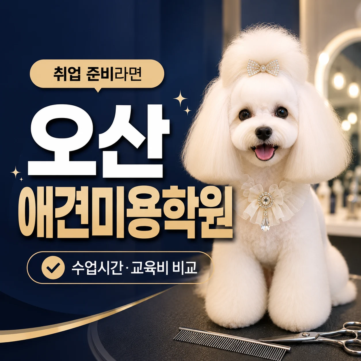 오산애견미용학원 취업 준비, 이바우펫까지 비교하는 이유 - 이바우펫