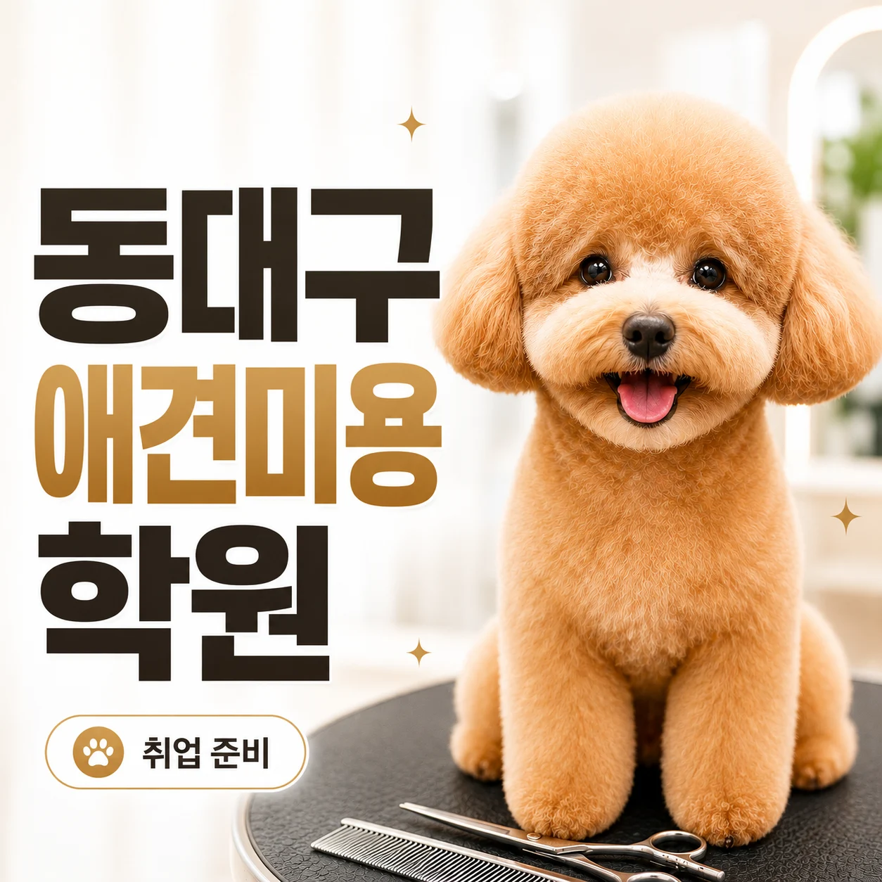 동대구애견미용학원 취업이 목표라면 지역 안에서만 볼 필요는 없습니다 - 이바우펫