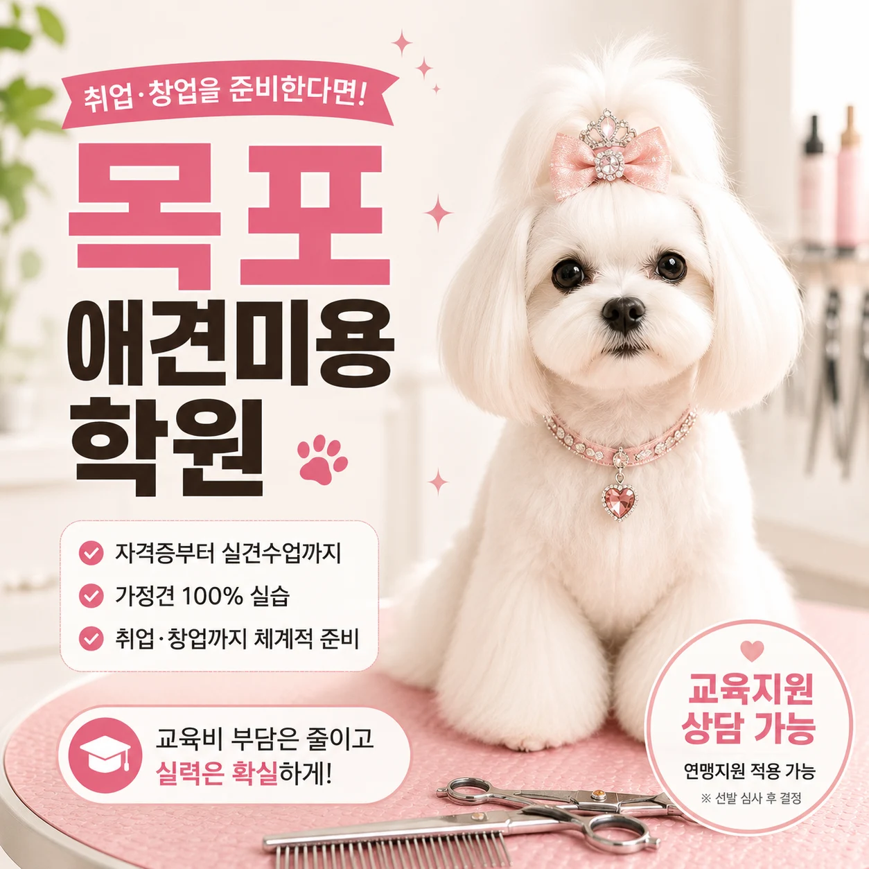 목포애견미용학원, 광주까지 비교하는 이유는 교육지원입니다 - 이바우펫