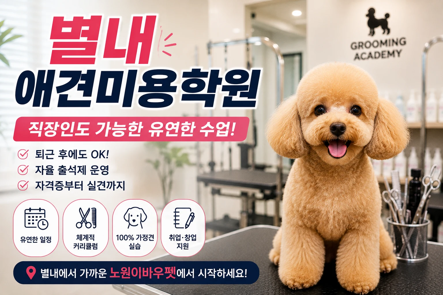 별내애견미용학원 직장과 함께 배우려면 시간부터 봐야 합니다 - 이바우펫