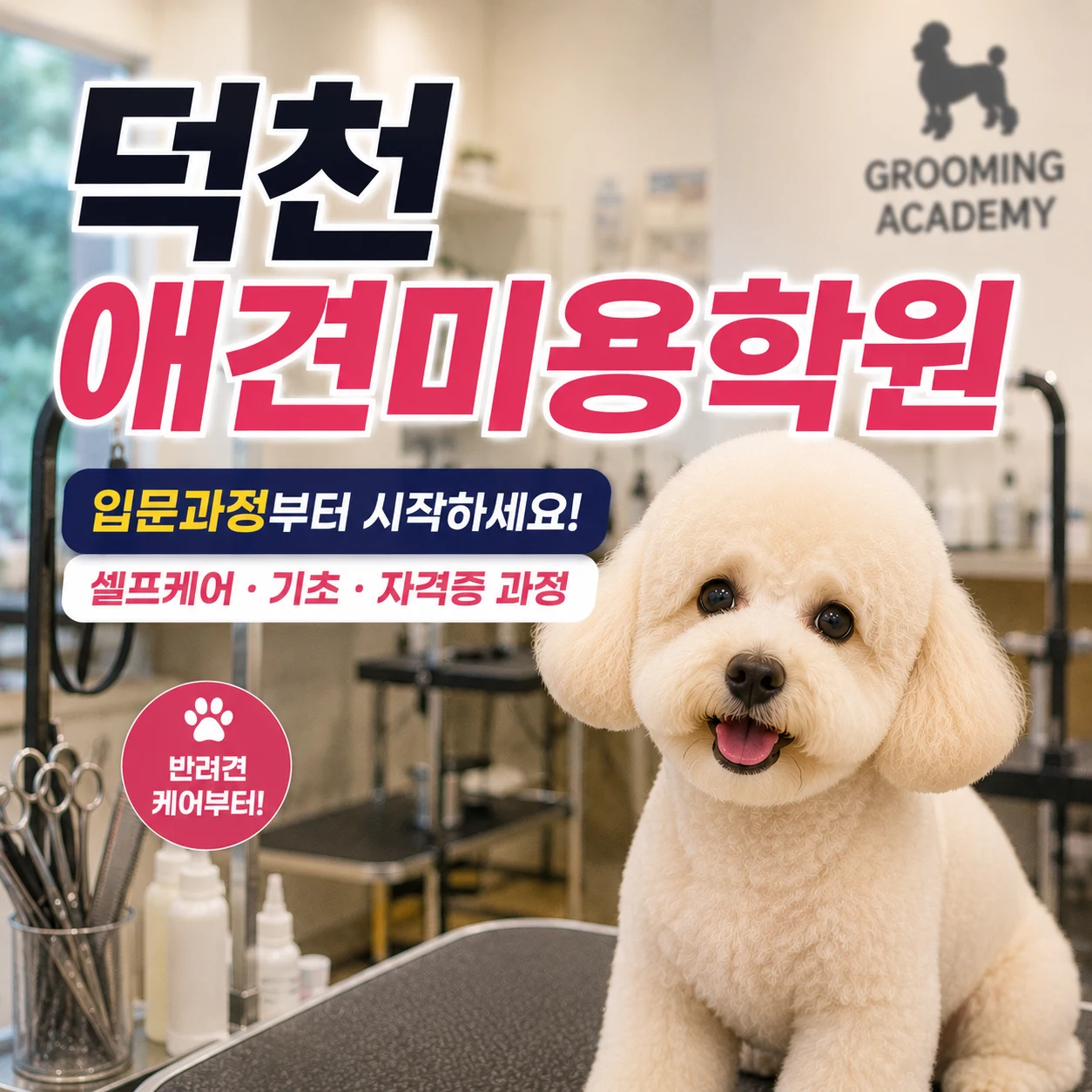 덕천애견미용학원 처음부터 직업과정을 선택해야 할까요? - 이바우펫