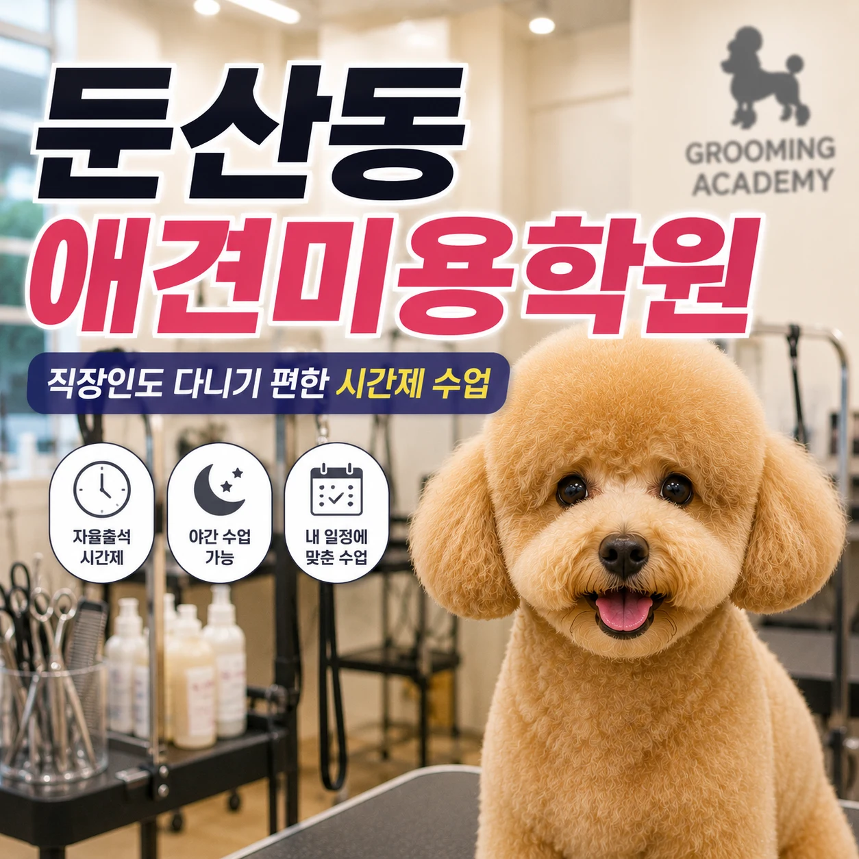 둔산동애견미용학원 이직 준비라면 시간표가 중요합니다 - 이바우펫