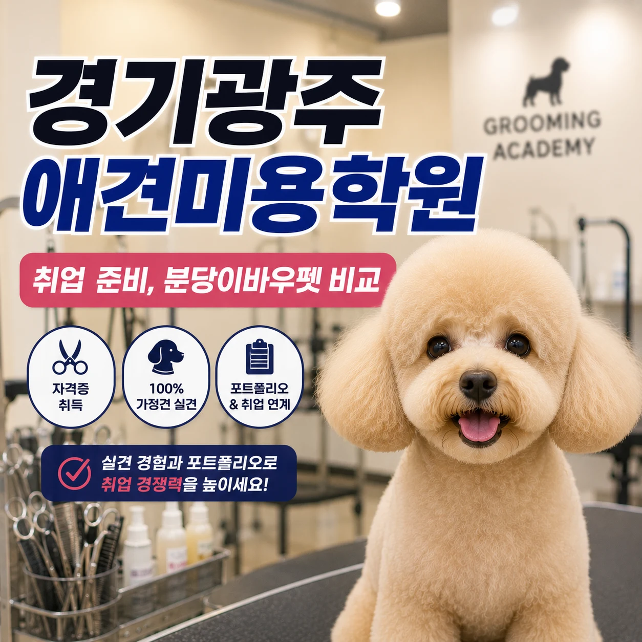 경기광주애견미용학원 취업까지 생각한다면 졸업 이후가 중요합니다 - 이바우펫