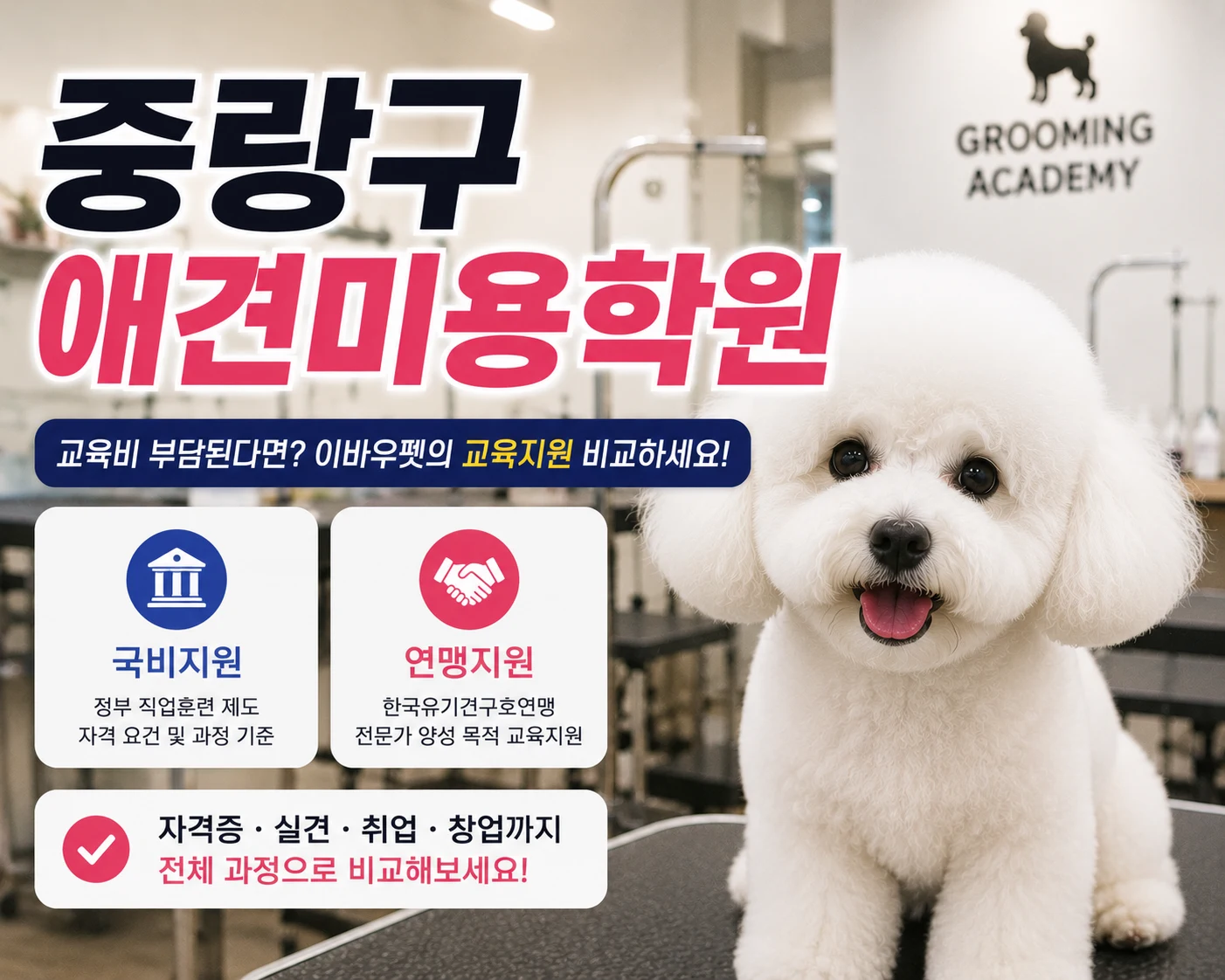 중랑구애견미용학원 비용 때문에 시작을 미루고 있다면 - 이바우펫