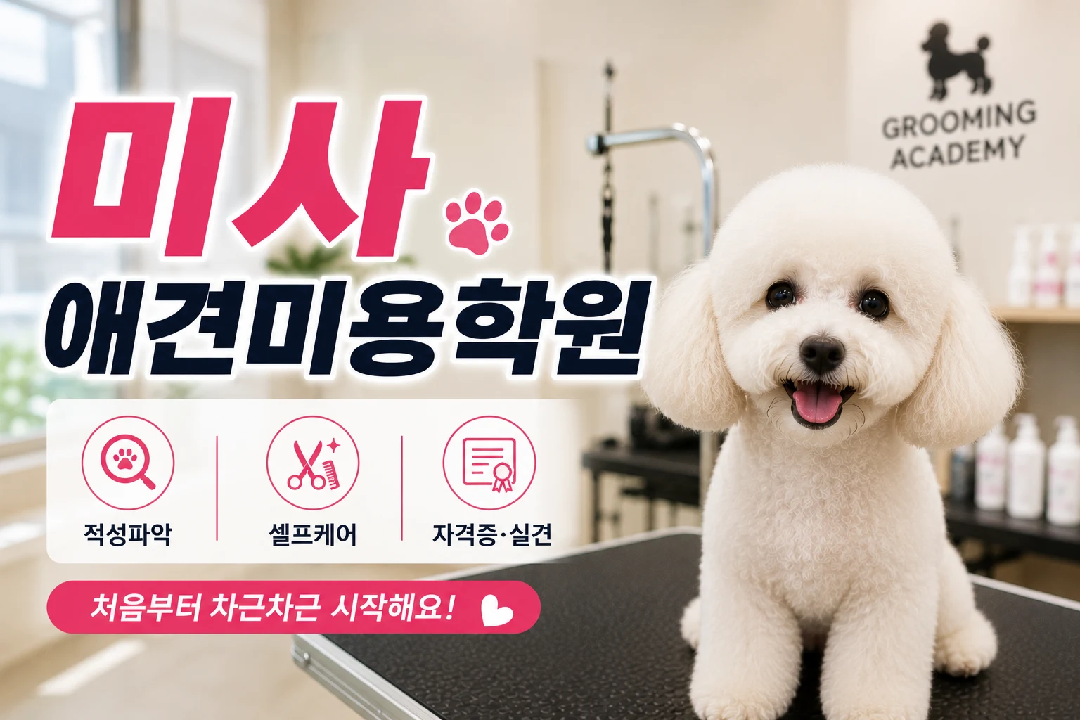 미사애견미용학원 처음부터 자격증반을 선택해야 할까요? - 이바우펫