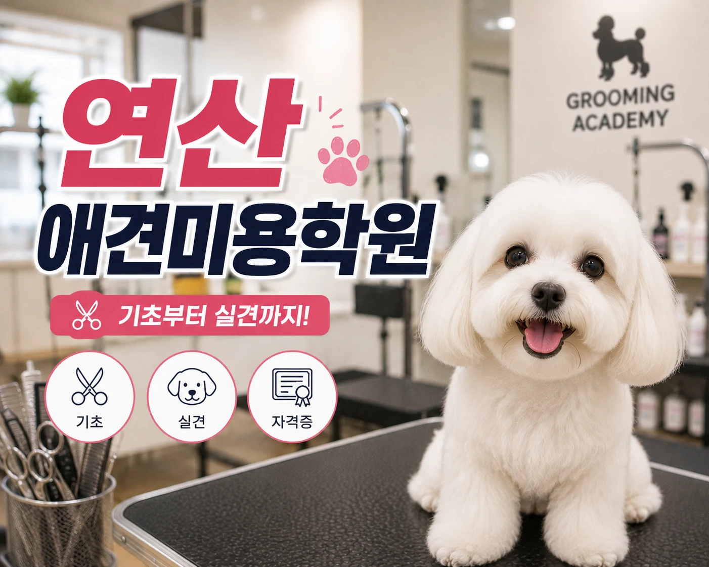 연산애견미용학원 자격증 준비는 기본기부터 시작됩니다 - 이바우펫