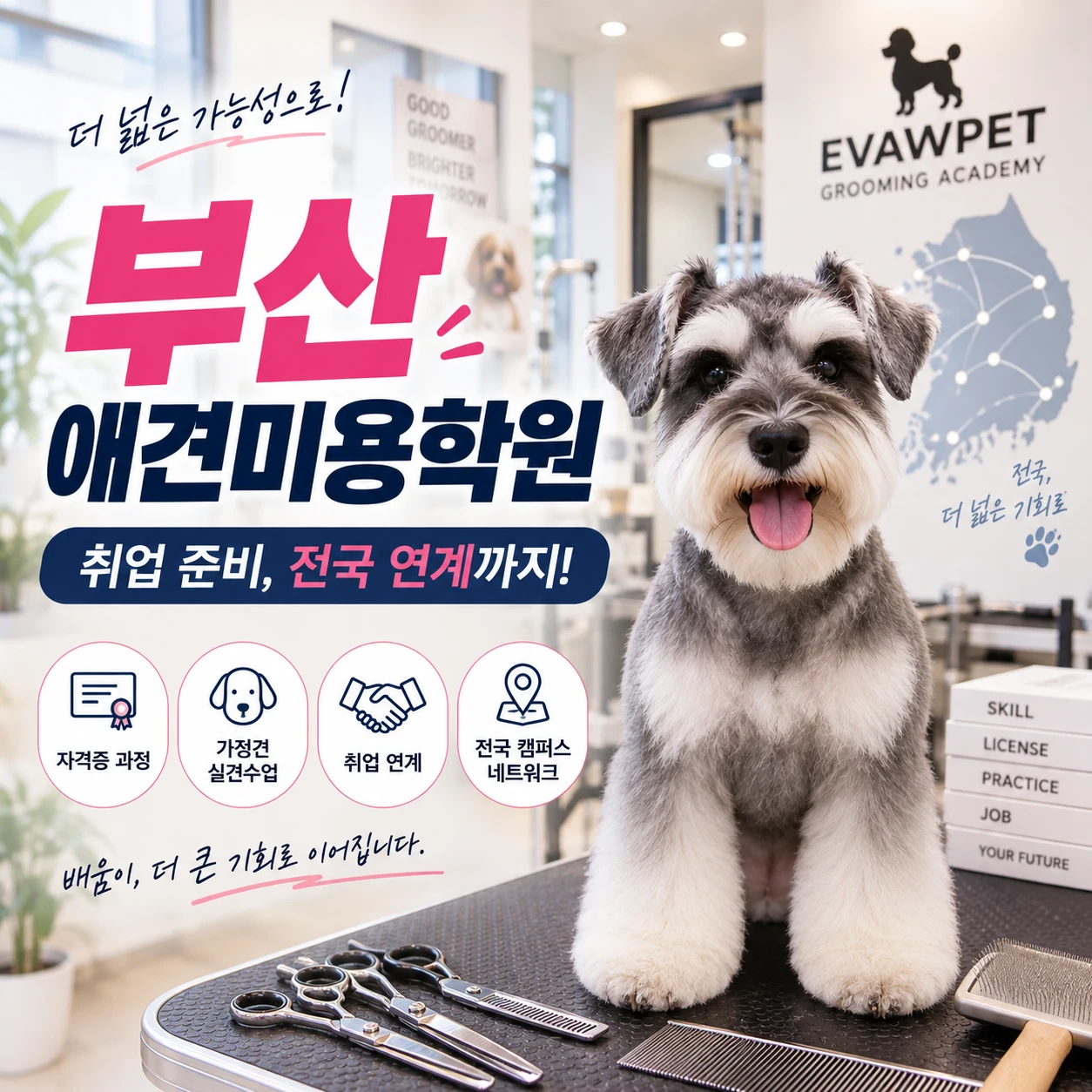 부산애견미용학원 취업이 목표라면, 취득 이후까지 살펴봐야 합니다 - 이바우펫