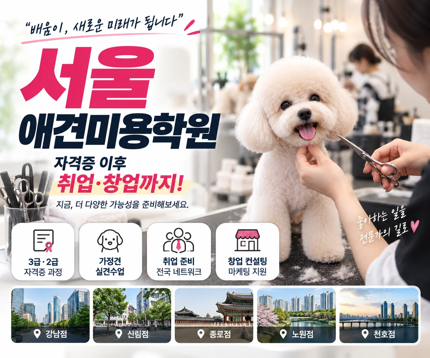 서울애견미용학원 애견미용자격증 이후 취업·창업까지 준비하려면 - 이바우펫