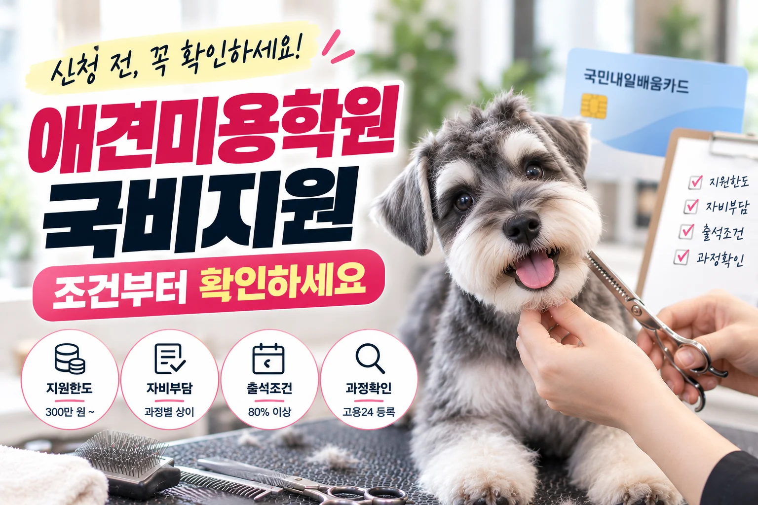애견미용학원 국비지원 신청 전 확인할 조건 - 이바우펫
