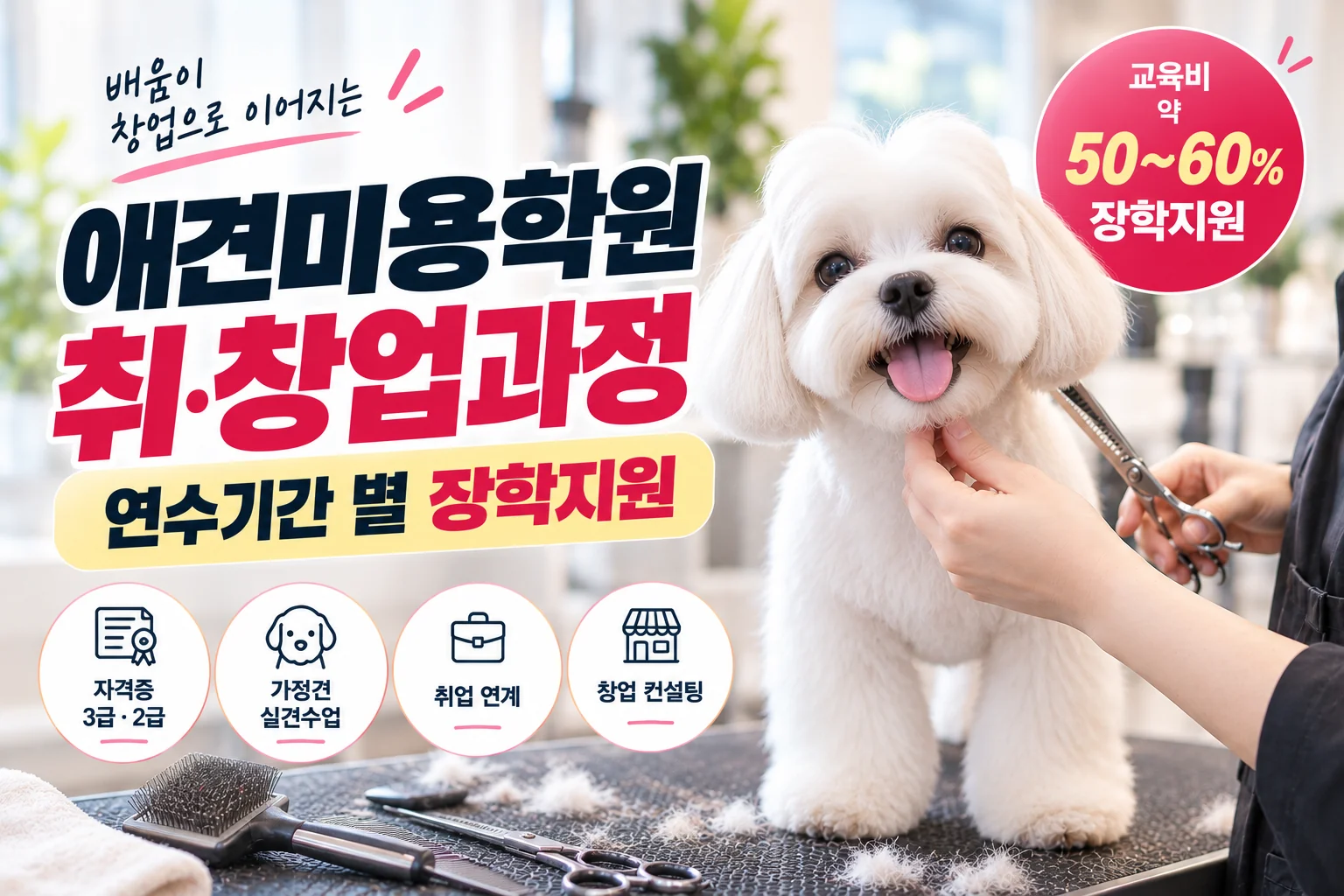 애견미용학원 취·창업과정, 연수기간 별 장학지원 안내 - 이바우펫