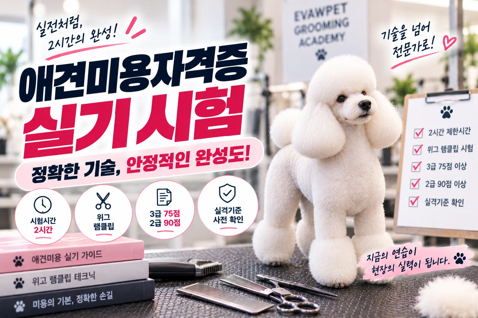 애견미용자격증실기 시험, 2시간 동안 무엇을 평가할까요? - 이바우펫