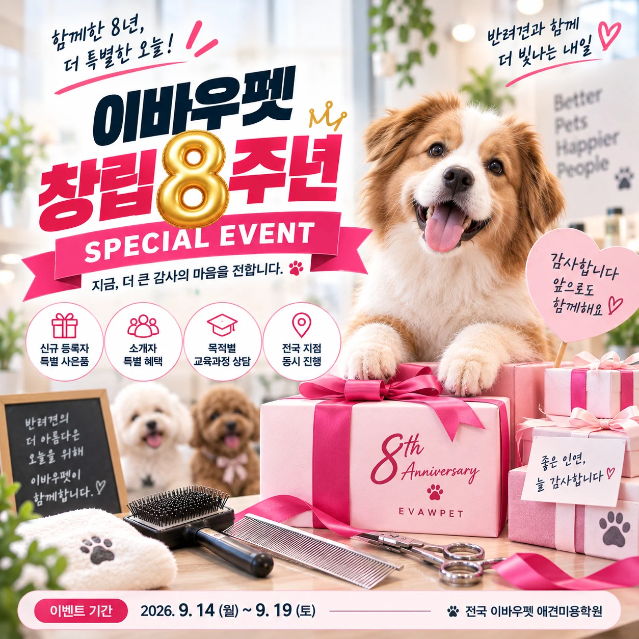 전국 이바우펫 창립 8주년, 등록자·소개자 특별 사은품 EVENT - 이바우펫