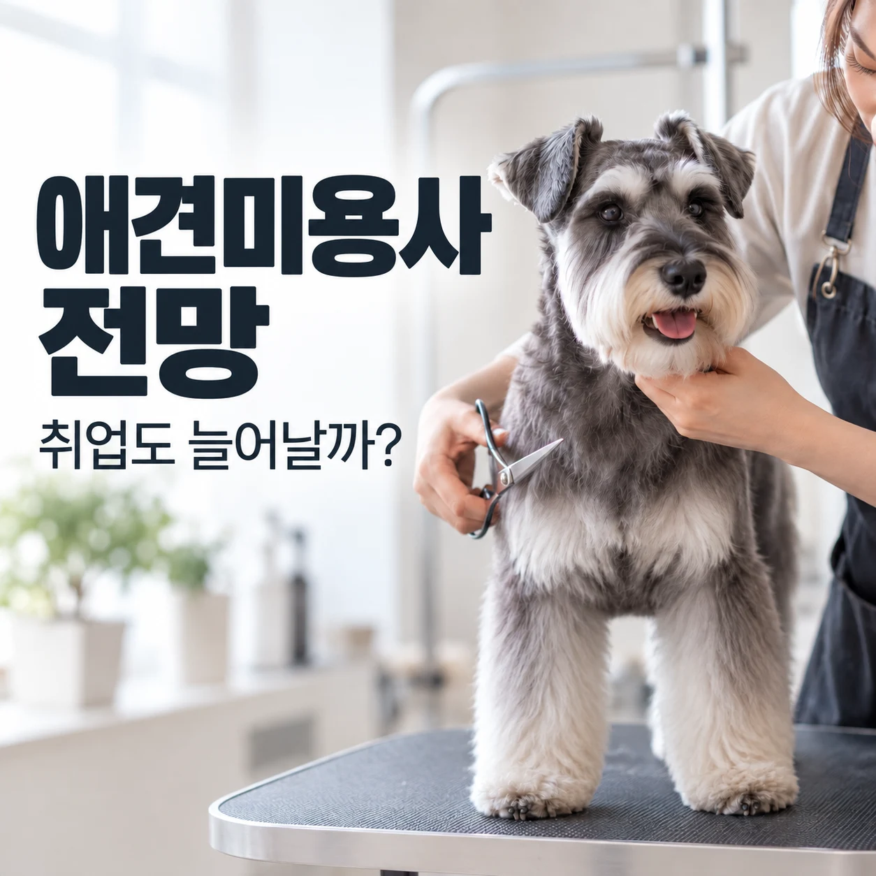 애견미용사 전망, 앞으로도 꾸준히 필요한 직업일까요? - 이바우펫