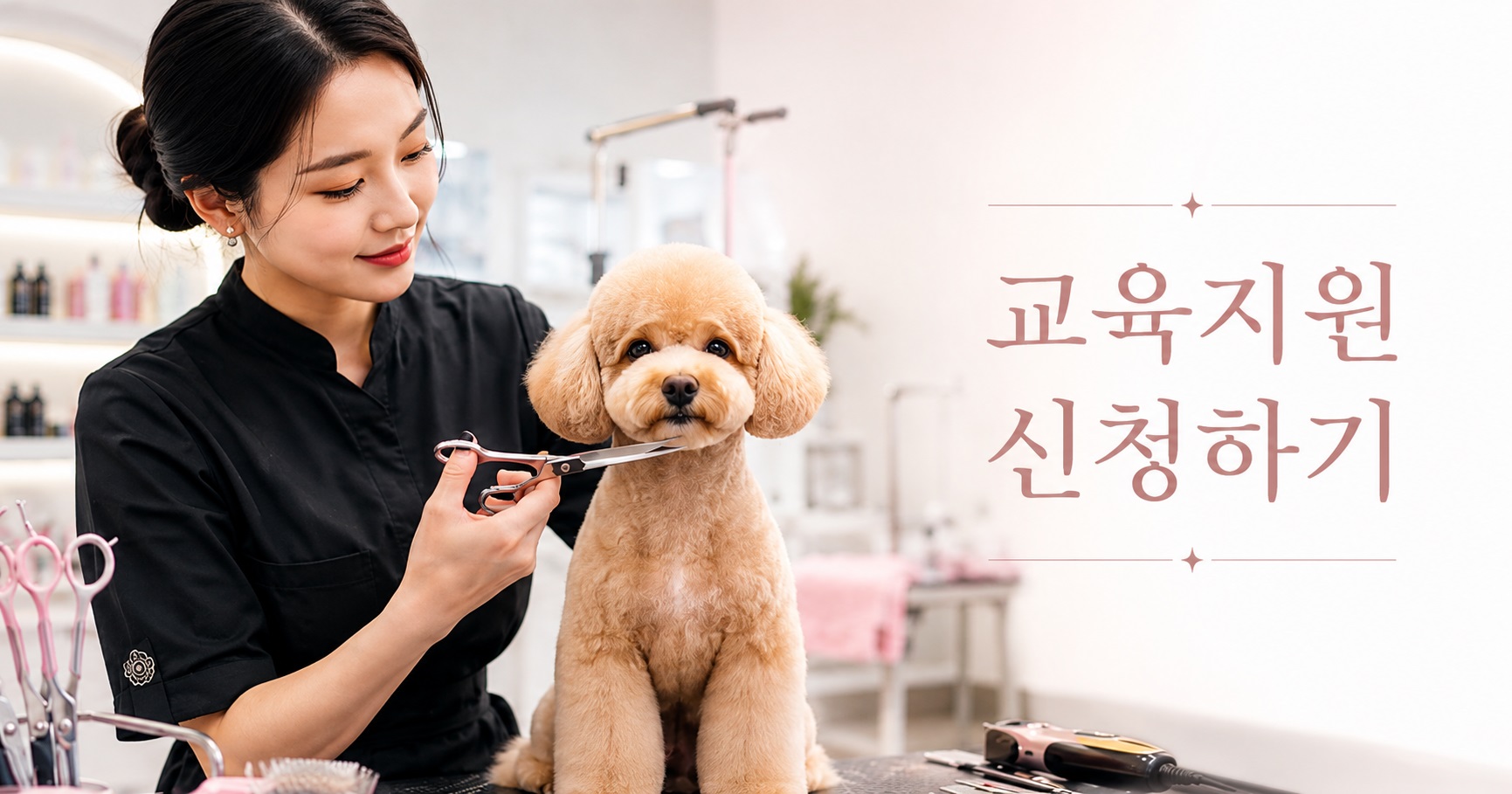 이바우펫 애견미용학원 | 자격증·실습·취업·창업·비용